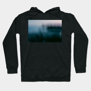 Forest Wilderness by the Sea Hoodie